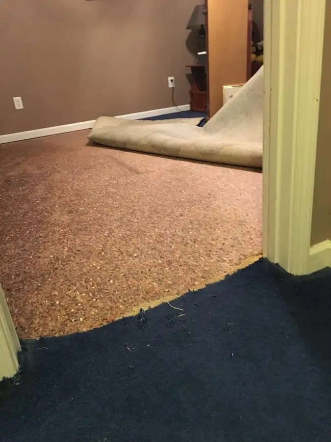 Carpet pad removal revealing water damage during Drying & Dehumidification in Quakertown