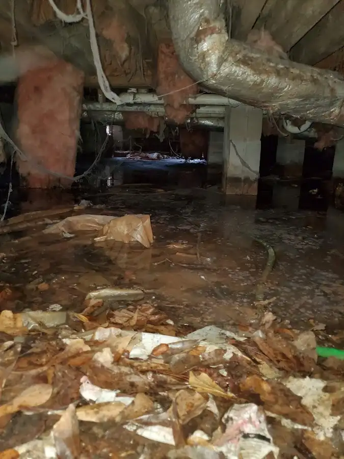 Crawl space flood assessment for Leak Detection & Repair in Quakertown